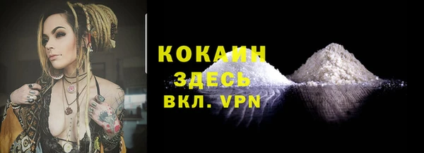 бошки Няндома