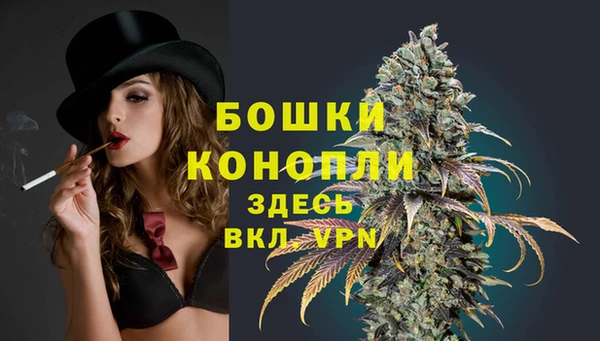 бошки Няндома