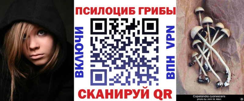Галлюциногенные грибы мицелий  Тавда 
